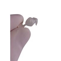 Direct Crown - Adult Posterior Translucent Crown Refills
